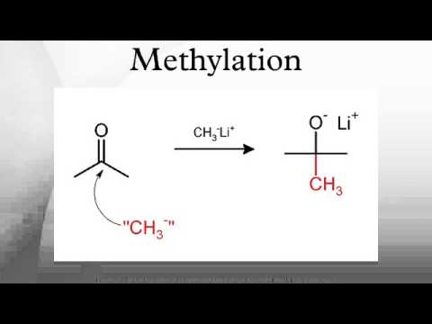 Methylation