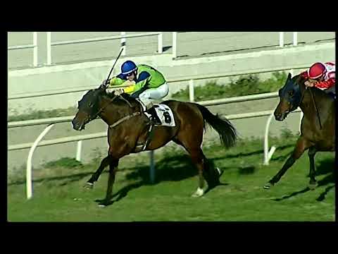 Napoli Galoppo 08/02/2022 - 4ª corsa