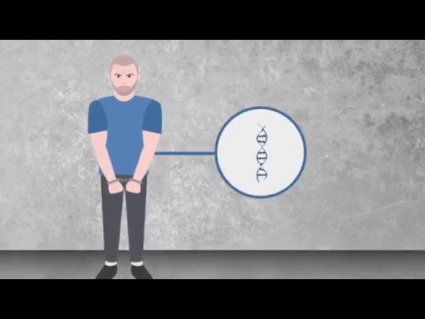 The Time Traveller's Guide to Investigating Crime - Part 2