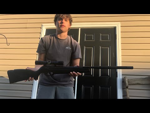 Dieseled pellet vs. Normal Pellet