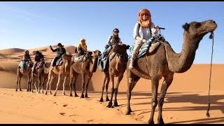 Morocco Sahara Holiday - Tours in Morocco - Morocco Camel trekking