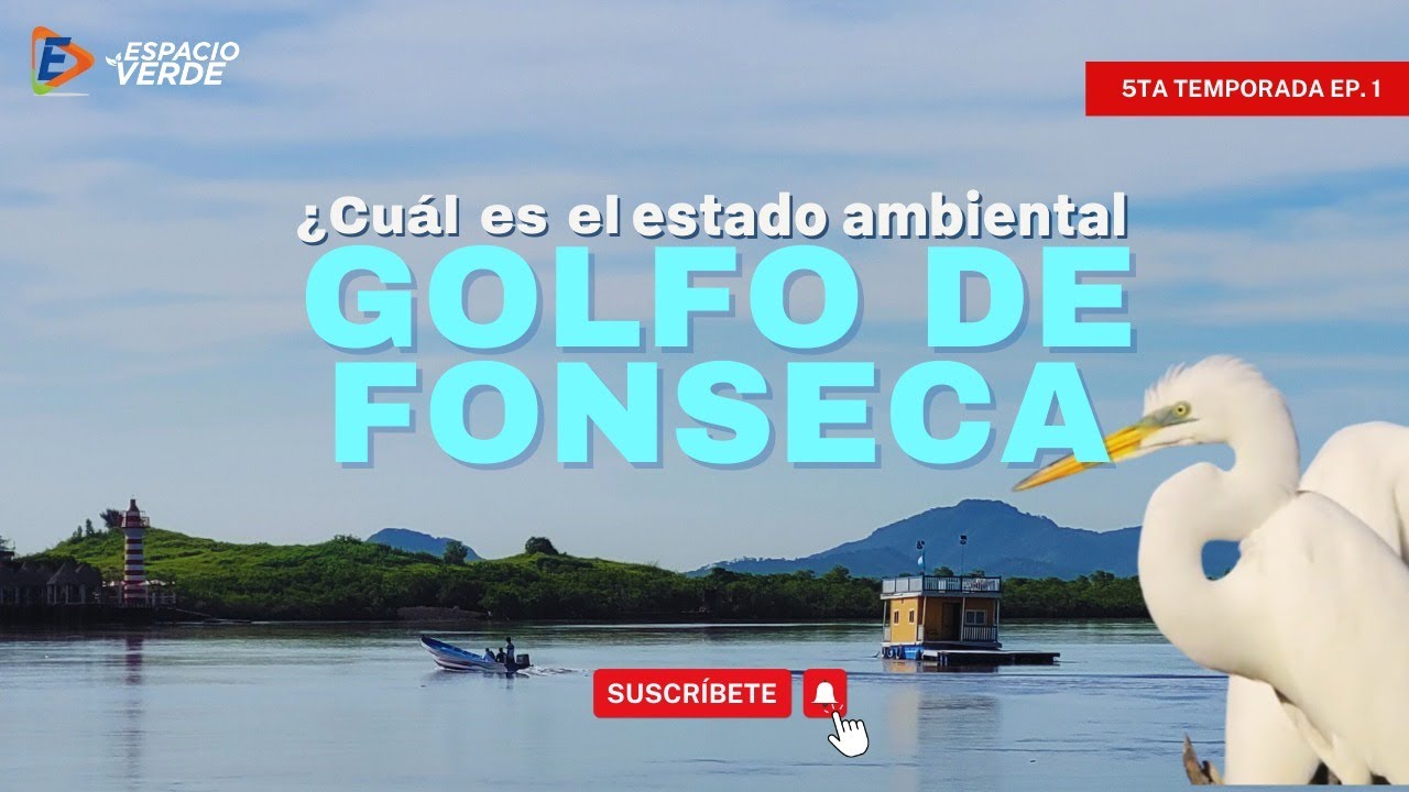 T5. Cap.1 | ¿Cuál es el estado ambiental del Golfo de Fonseca?