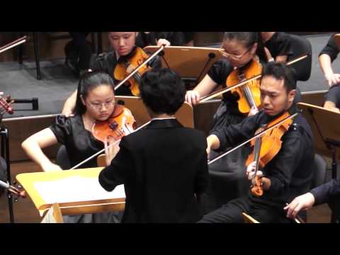 Max Bruch Violin Concerto