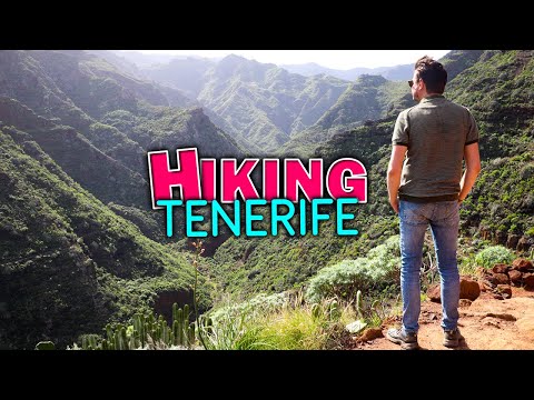 Tenerife Hiking Guide - Top 3 Best Hikes & Trails to Explore for Nature Lovers | Canary Islands