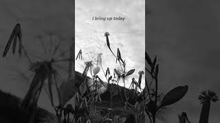 🎵Maudy Ayunda &amp; Teddy Adhitya - We Don't (Still Water) lyric #maudyayunda #teddyadhitya #wedont