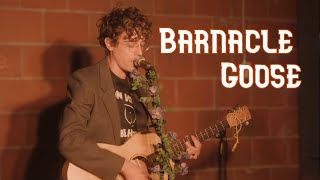 Born Ruffians: Barnacle Goose (Live 2020)
