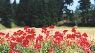 Jo Gabriel - Of Love and Ether