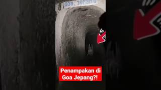 Download lagu Penunggu goa Jepang⁉️#shorts mp3 Download lagu Penunggu goa Jepang⁉️#shorts mp3