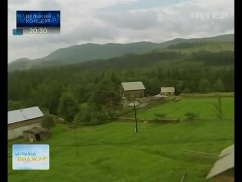Dzembronia — Video