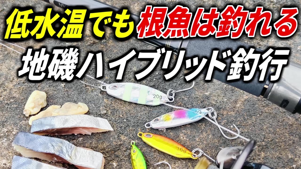 低水温期　根魚狙い　本気のハイブリッド釣法
