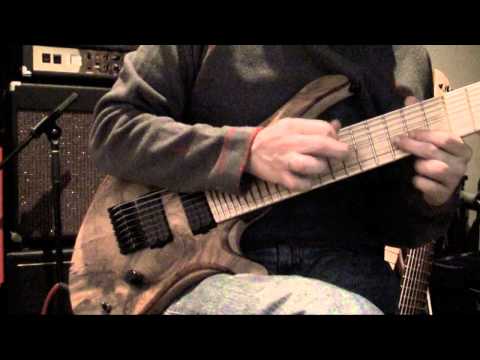 Fred Brum   Skervesen Swan 8 string