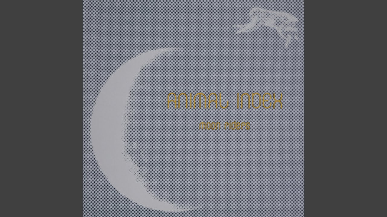 夢が見れる機械が欲しい