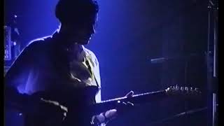 and also the trees 1993 04 22 giessen bizarre a room lives in lucy