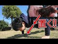 【筋トレ】腕立て伏せ頑張ってる友達の下にゴキブリセットしてみた。ドッキリ!!