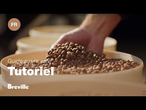 miniature vidéo