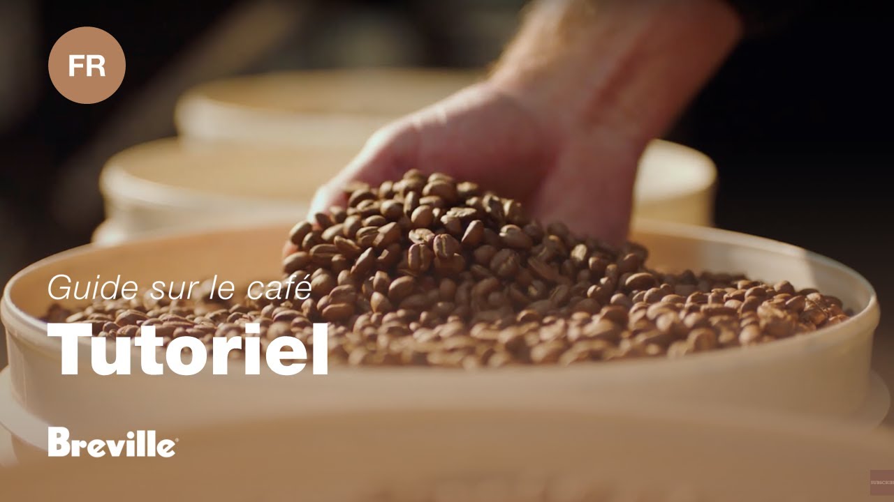 Guide didactique du café Breville - Choisir les bons grain
