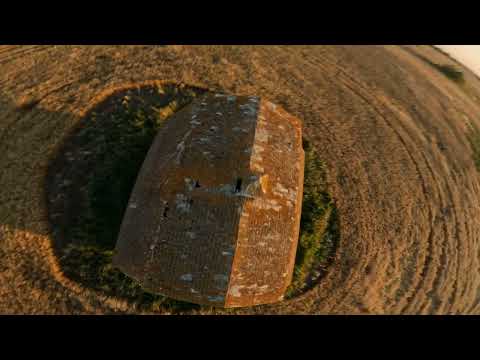 SAF 10" | Annual barn flight