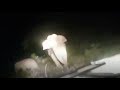 Charging Elephant Confronts Indian Forestry Officials