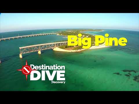 Destination Dive Big Pine