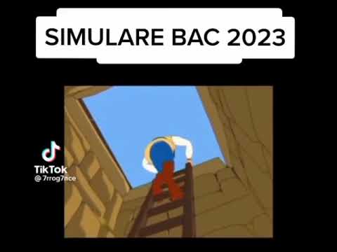 Simulare Bac 2023