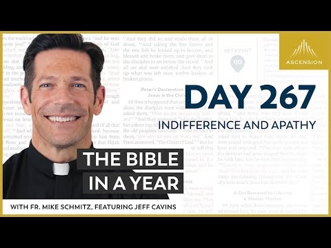 Day 267: Indifference and Apathy — The Bible in a Year (with Fr. Mike Schmitz)