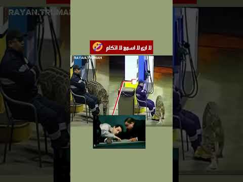 جمدت الدماء في عروقه.. نمر مرقط يقتحم مكانه! 😱🐾