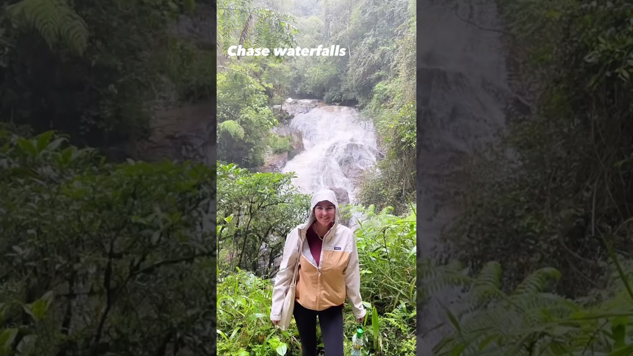 What to do in Cameron Highlands, Malaysia 🇲🇾 #malaysia #cameronhighlands #travel