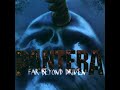 Pantera - Throes Of Rejection / Planet Caravan