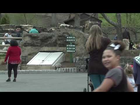 Turtle Back Zoo Opening