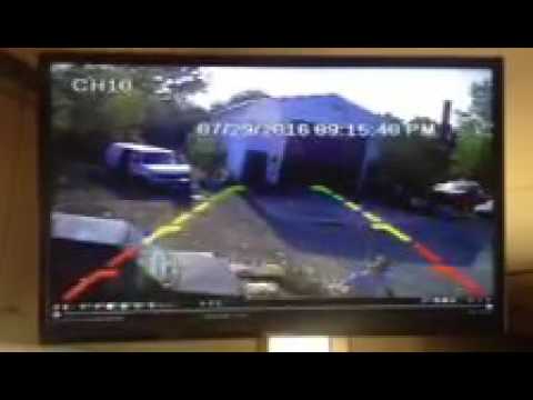 Crack head destroys camera