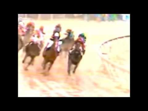 1983 NINE WWOS Preakness Stakes