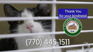 Paulding Animal Control/Shelter Needs YOU!