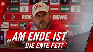 Kennt ihr dieses SPRICHWORT 🤣🦆 | Steffen BAUMGART sorgt für Schmunzler bei PK | 1. FC Köln