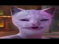 A Bunch Of Cats Witness A Horrible Car Crash
