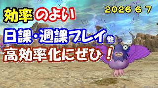 【ドラクエ10生配信No.319】効率のよい日課・週課など　2026.6.7