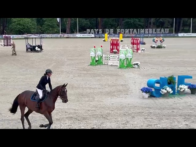 Jument CSO de 5 ans par Master Van de Helle