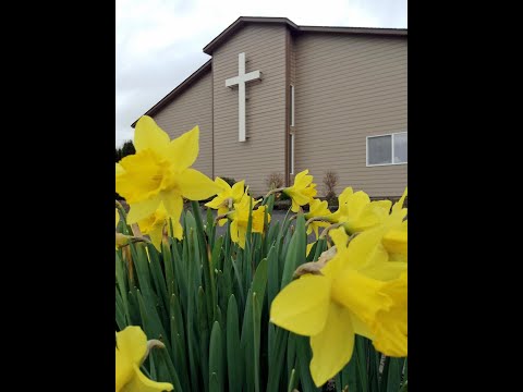 Christ's Witnesses  - Immanuel's Reformed Church - 10/1/2023