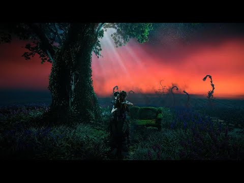 Varl Receives a Focus | Horizon Forbidden West [PS5]