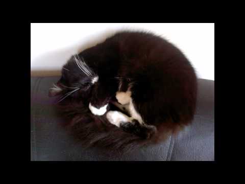 Jonas The Plugexpert - Ik Mis Je