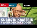 Kubus in Kamerik moet inwoners bewust maken van bodemdaling  [RTV Utrecht]