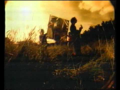 Stephen Duffy - Sugar High