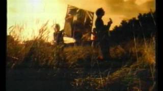 Stephen Duffy - Sugar High