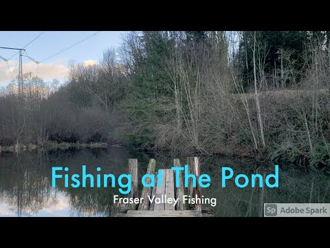 Fishing at The Pond