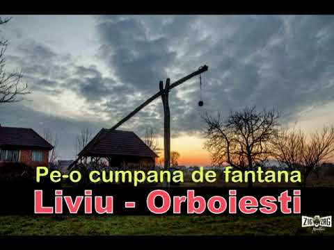 Pe-o cumpana de fantana-Liviu de la Orboiesti live melodii de sprit si ascultare vechi
