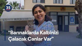 Dünya Veteriner Hekimler Günü'nde İzmirli Veteriner Hekimlerden Çağrı