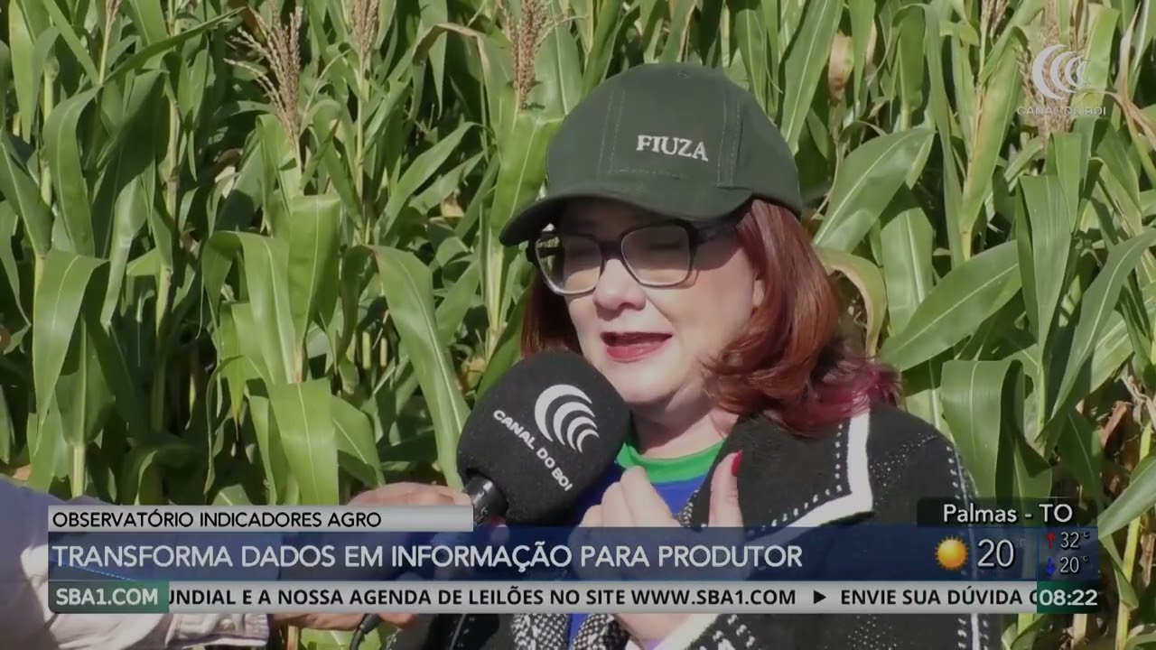 Observatório de indicadores do agro transforma dados em informações para o produtor