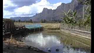 preview picture of video 'Laos and Cambodia - 2005 - part 2.avi'