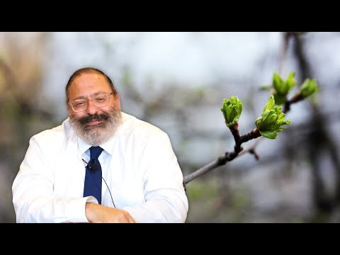 Does Judaism Cherish Hair?