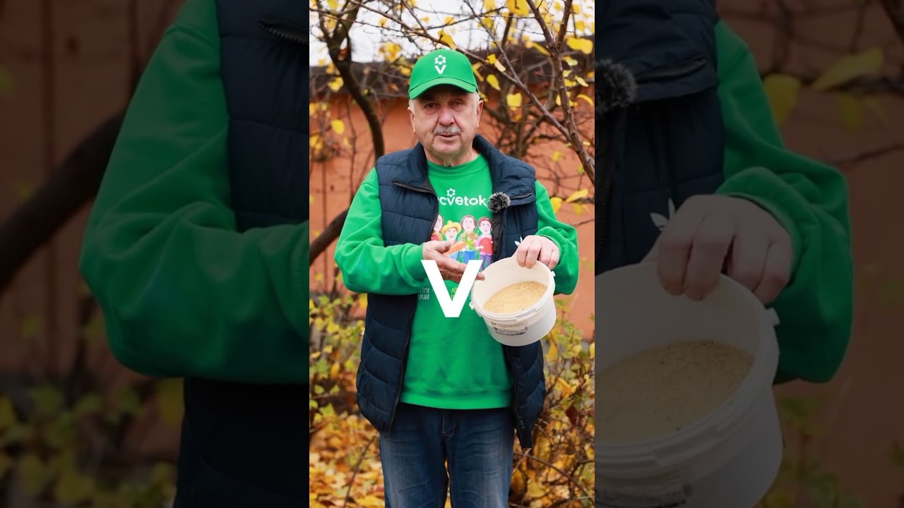 Внесите этот порошок в почву и забудете о болезнях и вредителях растений! Урожай большой и здоровый