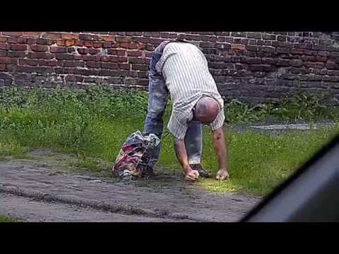 Padnij !!! - powstań !!! Power Rade